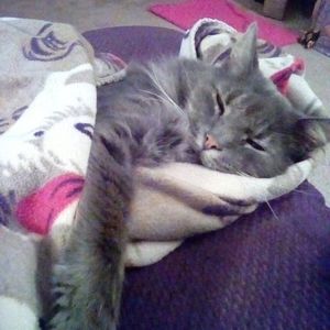 Meet your Posher, Mary